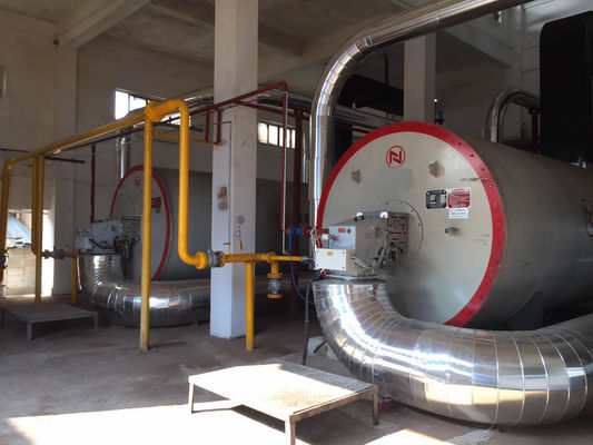 มาตรฐาน AISI 3000KW / H 321H หม้อน้ำตัวพาความร้อนอินทรีย์